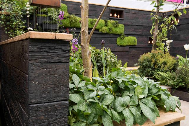 Weathered oak embered writtle college ideal home show