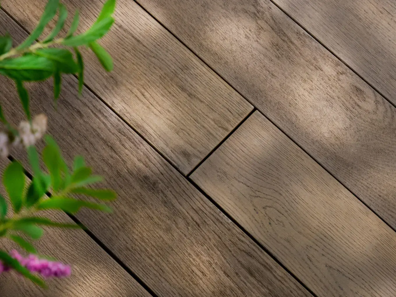Antique-Oak-Decking-with-plant